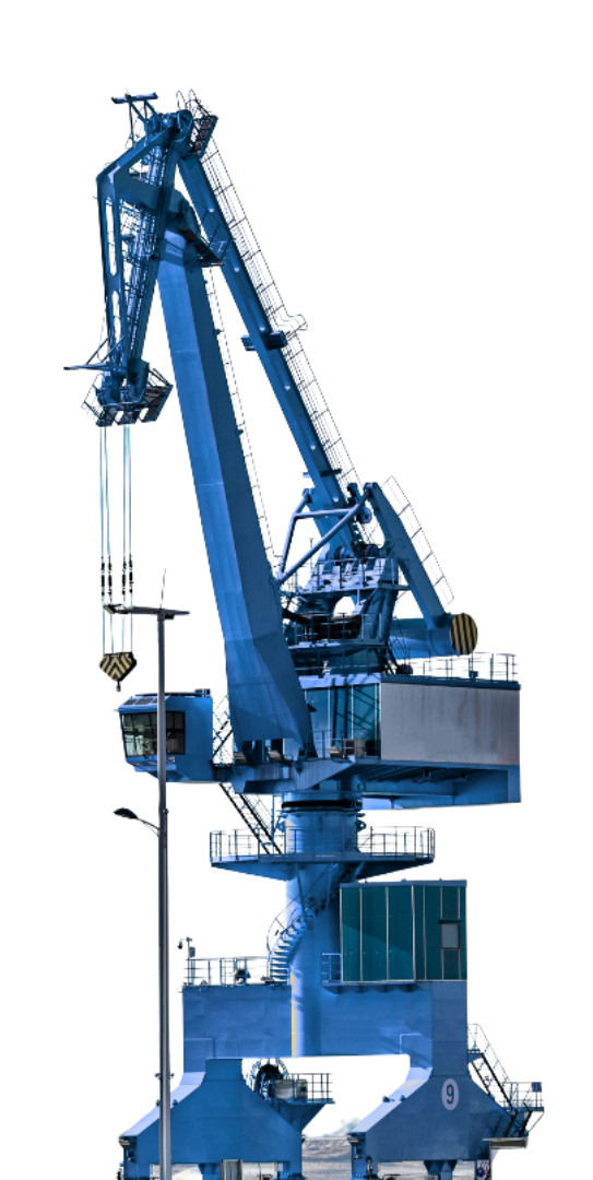 Blue crane - Copy Blue crane - Copy